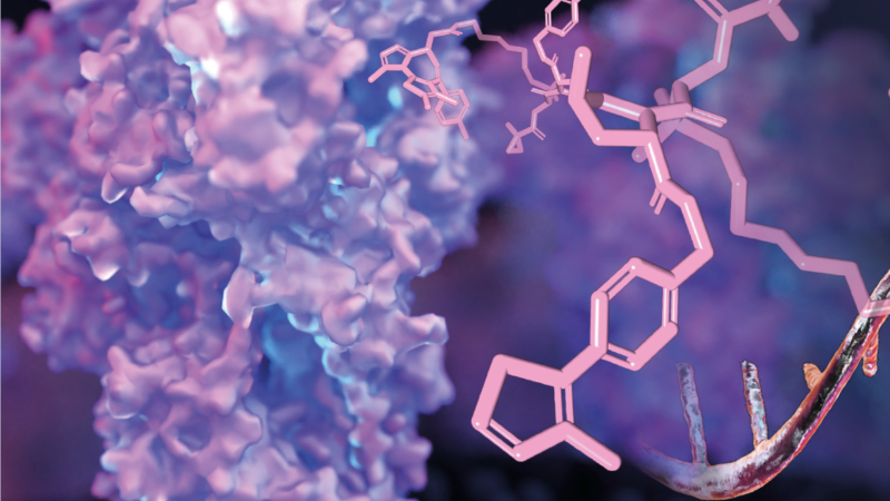 Illustration: Design_Cells, Kateryna Kon– shutterstock.com | Design: Tanja Labs – artefont.de