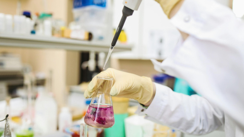 Bild: Pexels / Polina Tankilevitch