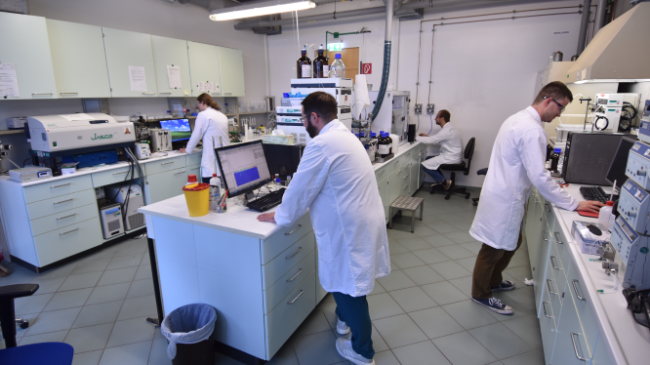 Four people working on computers in a laboratory