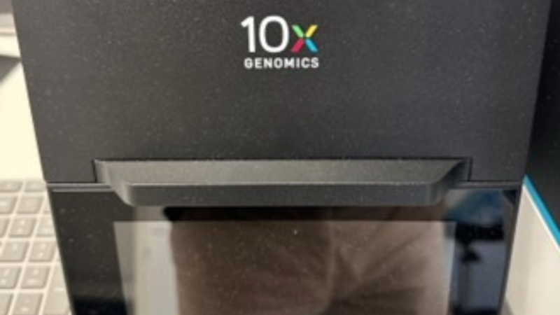 Bild: Matthias Klein