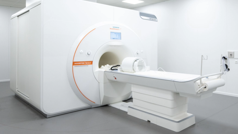 Photo: Sascha Mannel