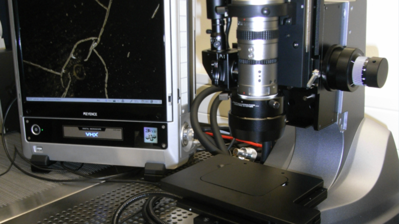 Photo: Farough Roustaie