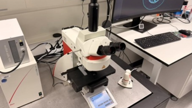 Photo: Stefan Stoldt