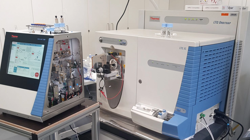 Photo: Alexander Schießer