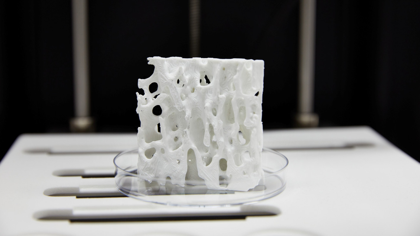 Vergrößertes Modell eines Knochensegments, gedruckt aus einem biodegradierbaren Polymer (Bild: Sandra Junker)