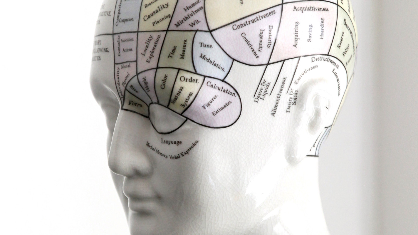 A phrenology bust of the type based on the theories of the German physician and anatomist Franz Joseph Gall, who is considered to be one of the precursors of the modern neuroscience disciplines (Photo: Stefan F. Sämmer) A phrenology bust